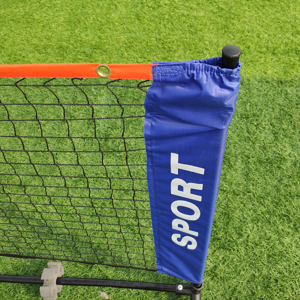 Portable Folding Standard Prof - đánh giá và giá Badminton Player